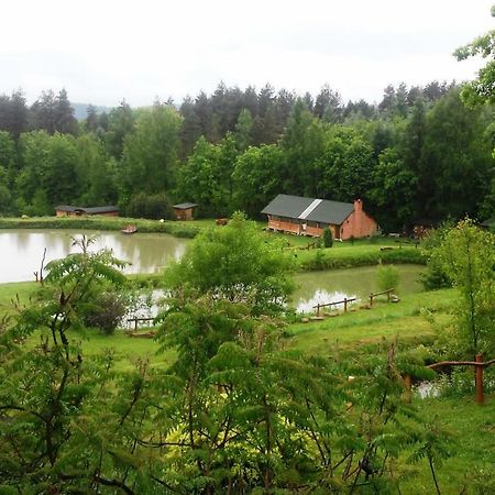 Dolina 4 Stawow Villa Krzywcza ภายนอก รูปภาพ