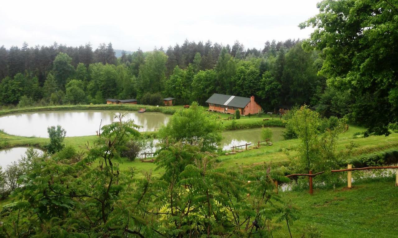 Dolina 4 Stawow Villa Krzywcza ภายนอก รูปภาพ