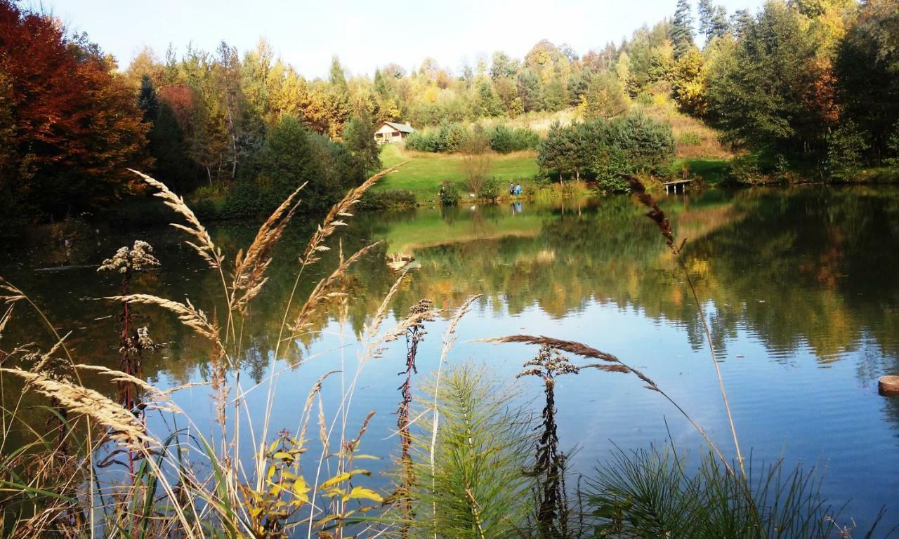 Dolina 4 Stawow Villa Krzywcza ภายนอก รูปภาพ